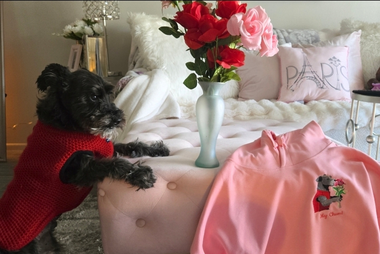 Real Stories: Why Pet Parents Love Pawtowear