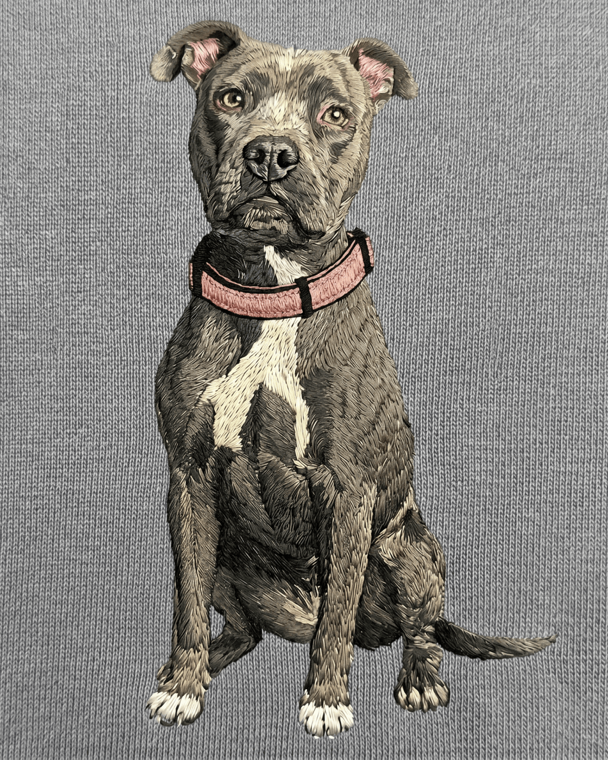 Custom Pet Embroidered Story Stitch T-Shirt