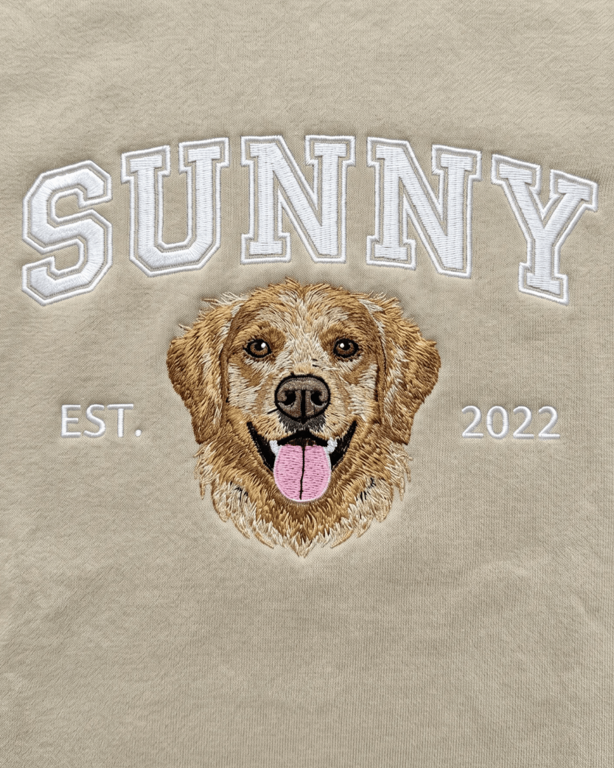 Custom Pet Embroidered Campus Stitch Hoodie