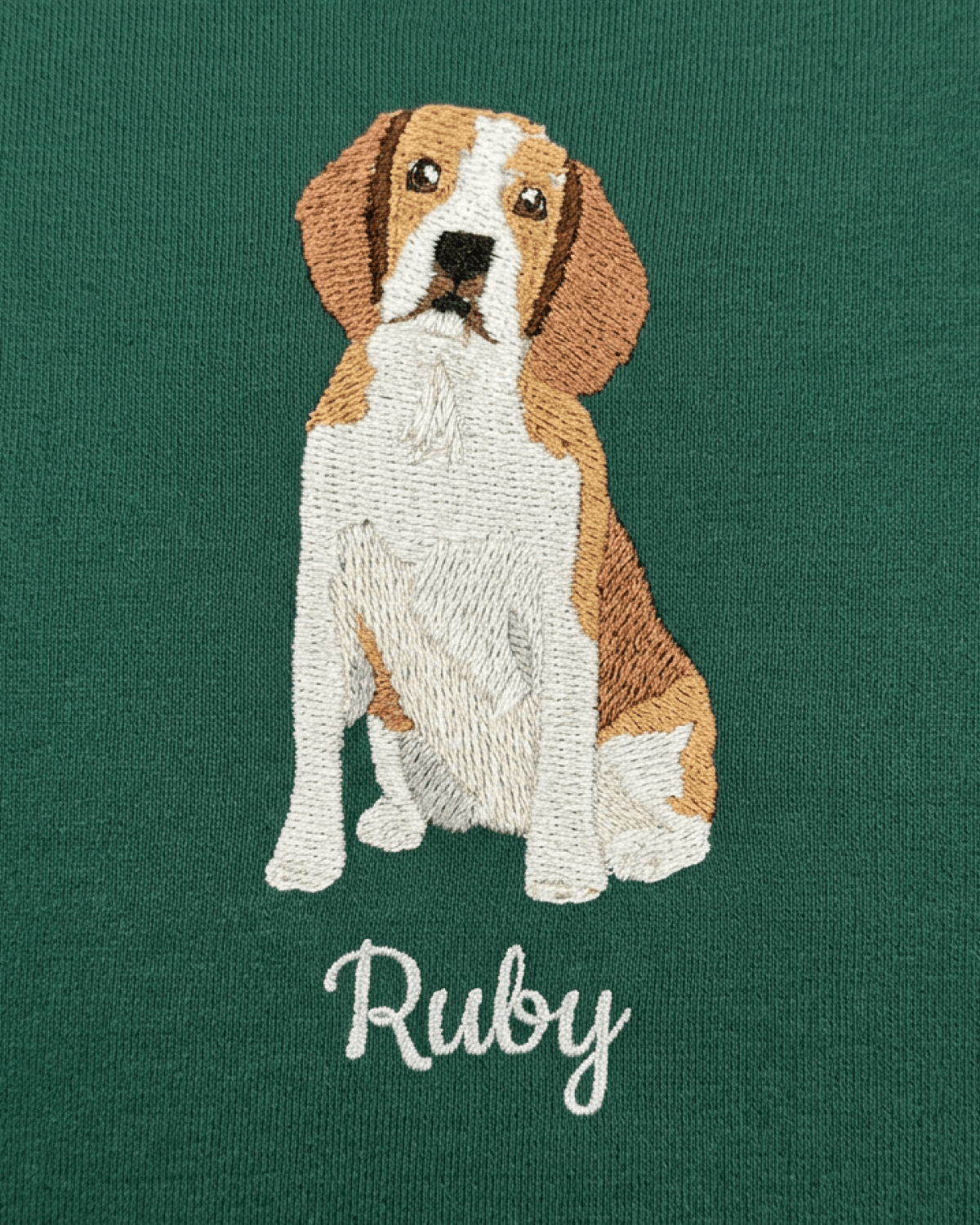 Custom Pet Embroidered Story Stitch Hoodie