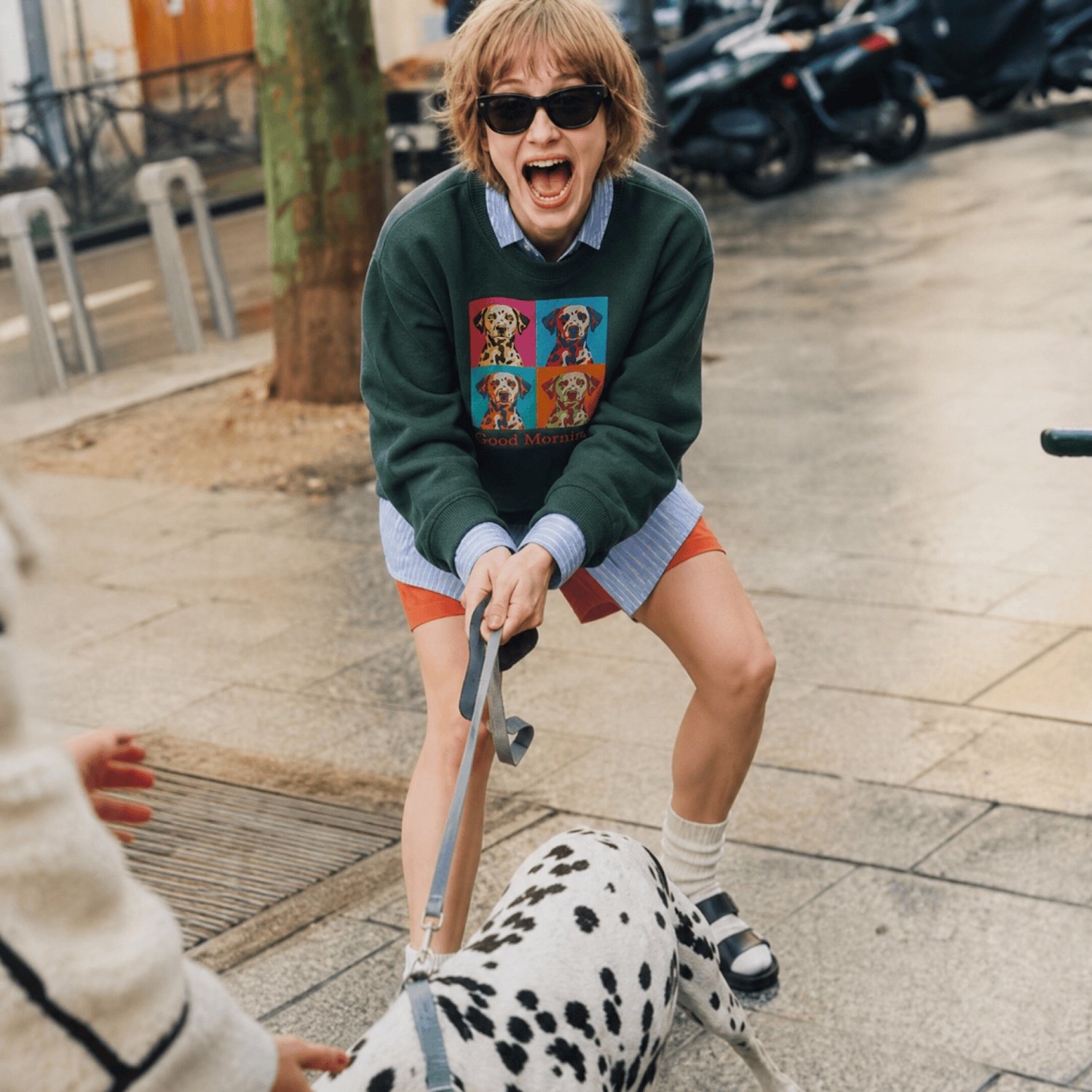 Custom Pet Embroidered Bold Stitch Sweatshirt