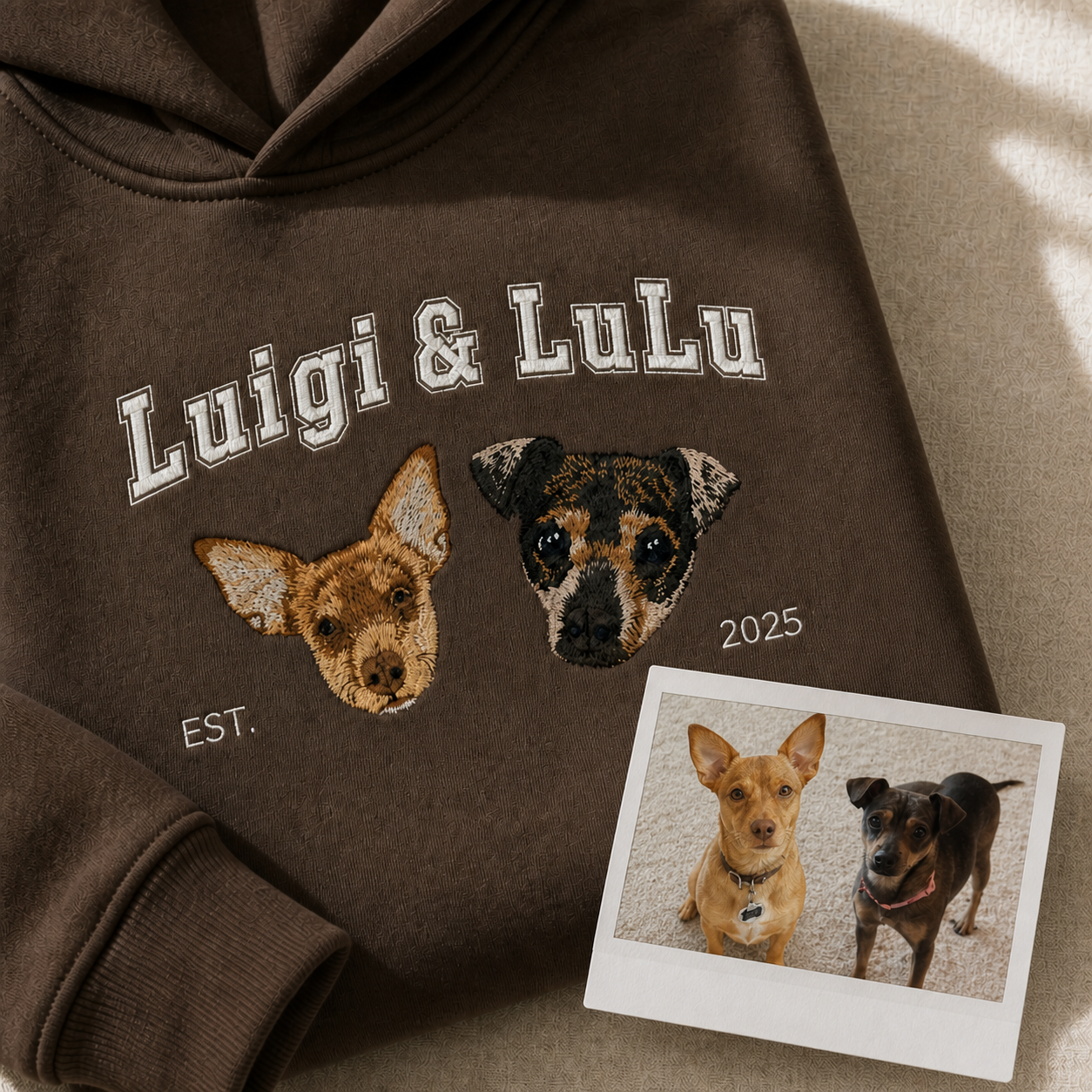 Custom Pet Embroidered Campus Stitch Hoodie