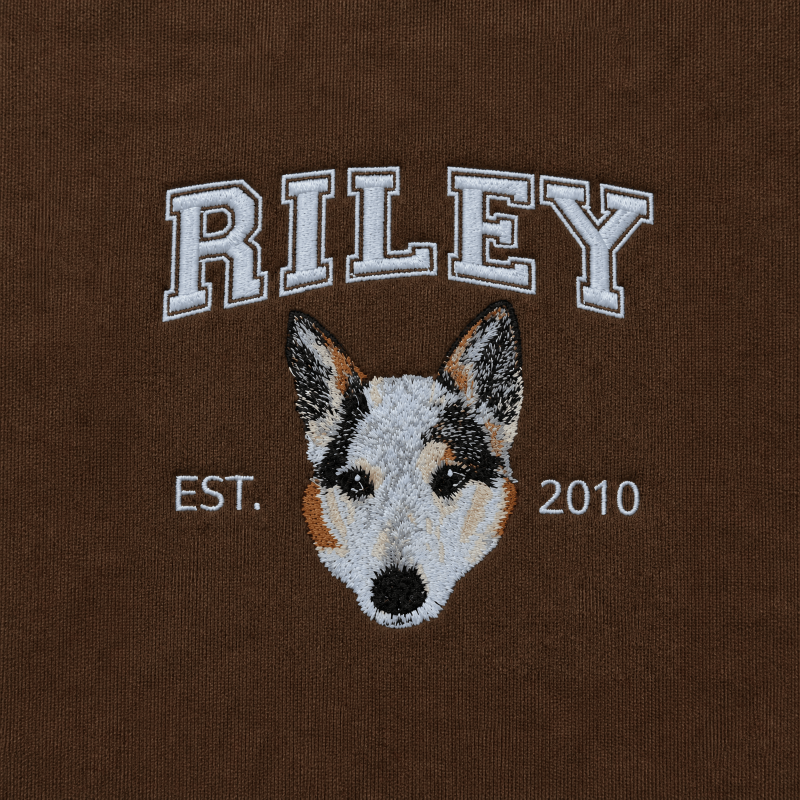 Custom Pet Embroidered Campus Stitch Sweatshirt