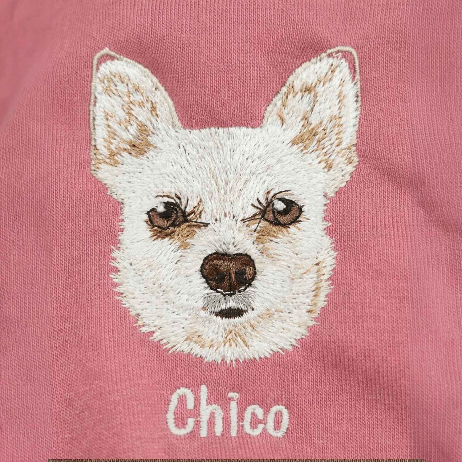 Custom Pet Embroidered Icon Stitch Sweatshirt